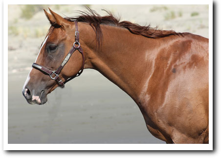 persil grass affected!