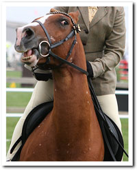 Impulsive and running off