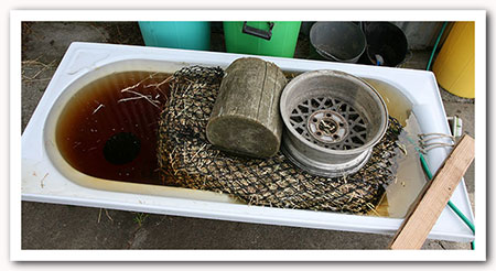 persil grass affected!