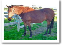 On the verge of foundering