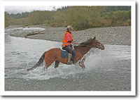 Nibbler in the river