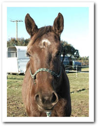 star light showing dent in face
