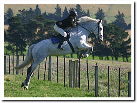 Flossie after diet changes!