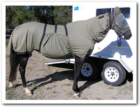 Cover for Queensland Itch