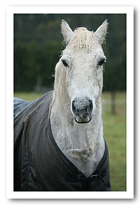 Danny covered in the freezing rain.