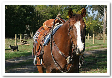 Posh stands calmly waiting for Jenny to get back