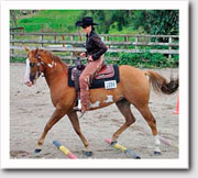 Amigo before dietary changes