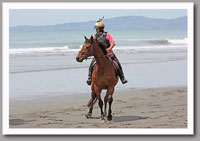 spooking at the beach