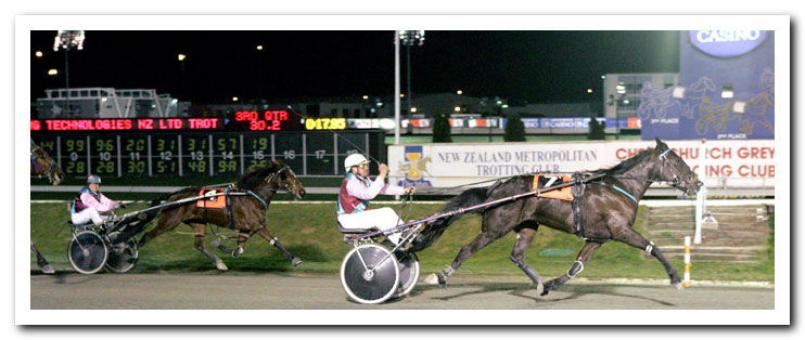 persil grass affected!