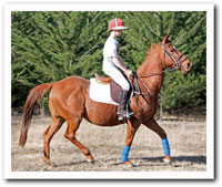 persil looking ghastly!