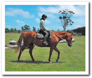 Red after diet change