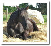 Sabrina calm and happy